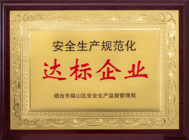 安全生產規范化達標企業