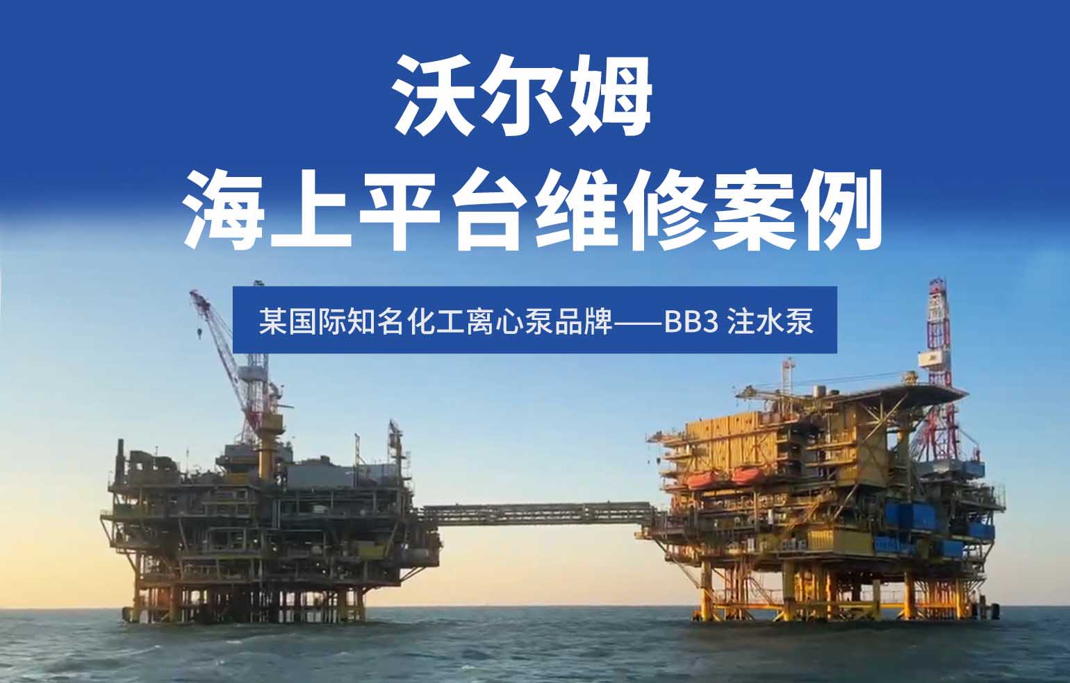 BB3 注水泵振動超標(biāo)修復(fù)案例-沃爾姆精準(zhǔn)檢修讓近 20 年老泵性能全面煥新